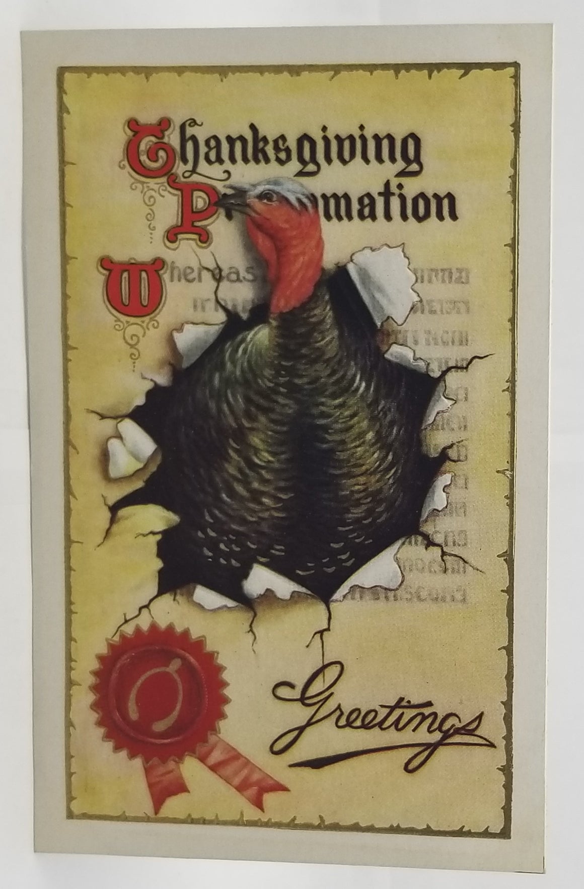 Thanksgiving Postcard Greeting Turkey Busting Through Proclamation with Wishbone Seal Gold Highlights Unused NM