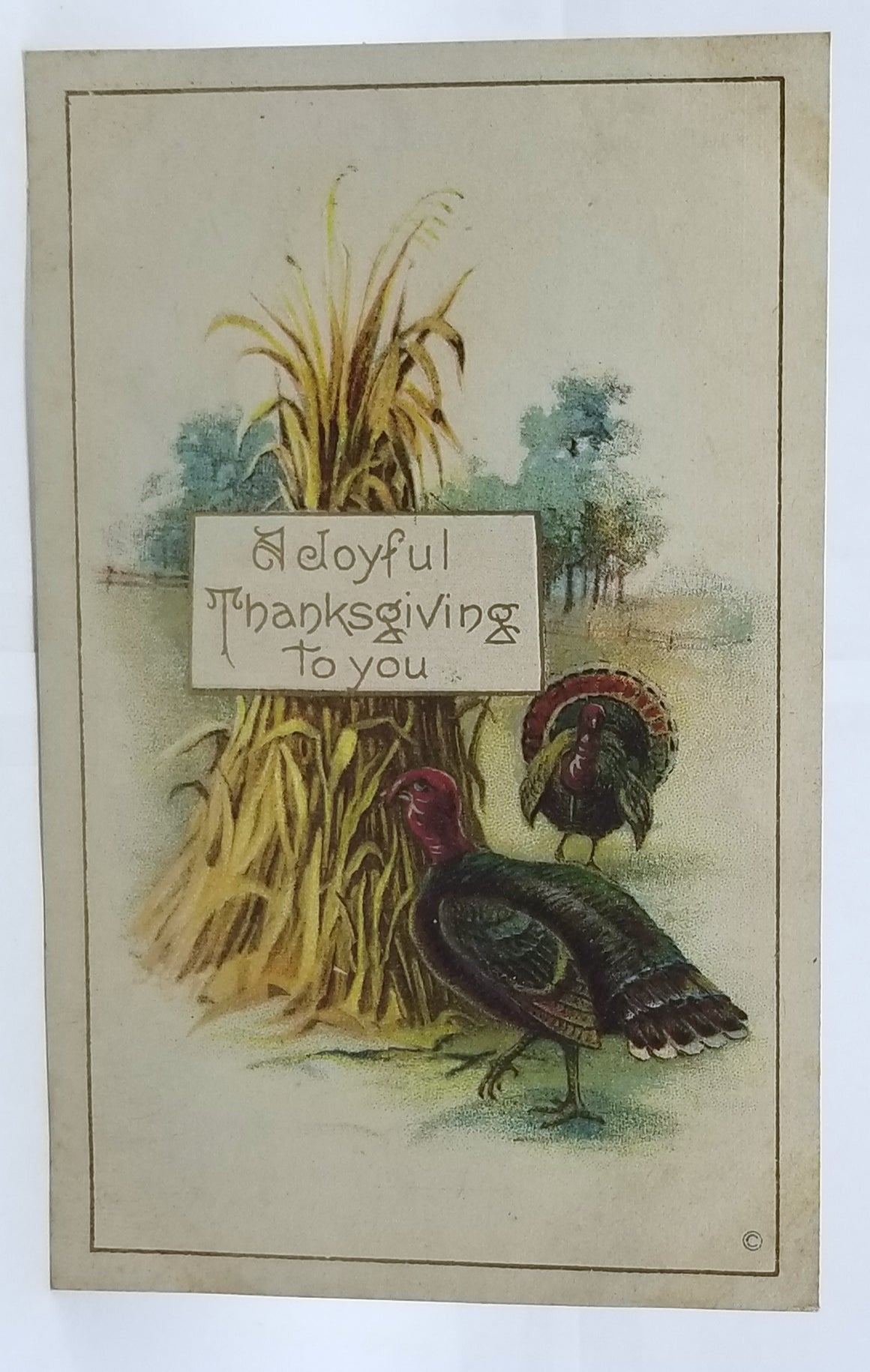 Thanksgiving Postcard Turkey with Haystacks 82 JJ Marks Pub