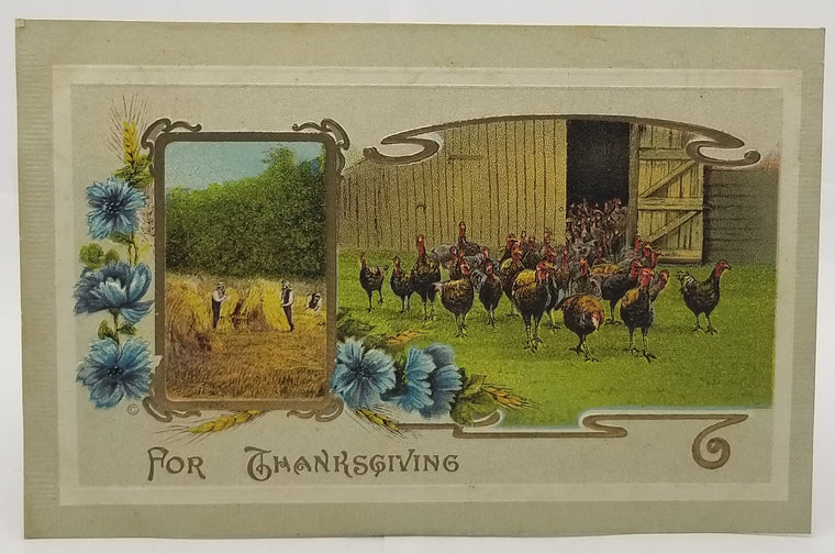 Thanksgiving Postcard Greeting Farmers in Hay Field Flock of Turkeys at Barn JJ Marks Series 929 Unused