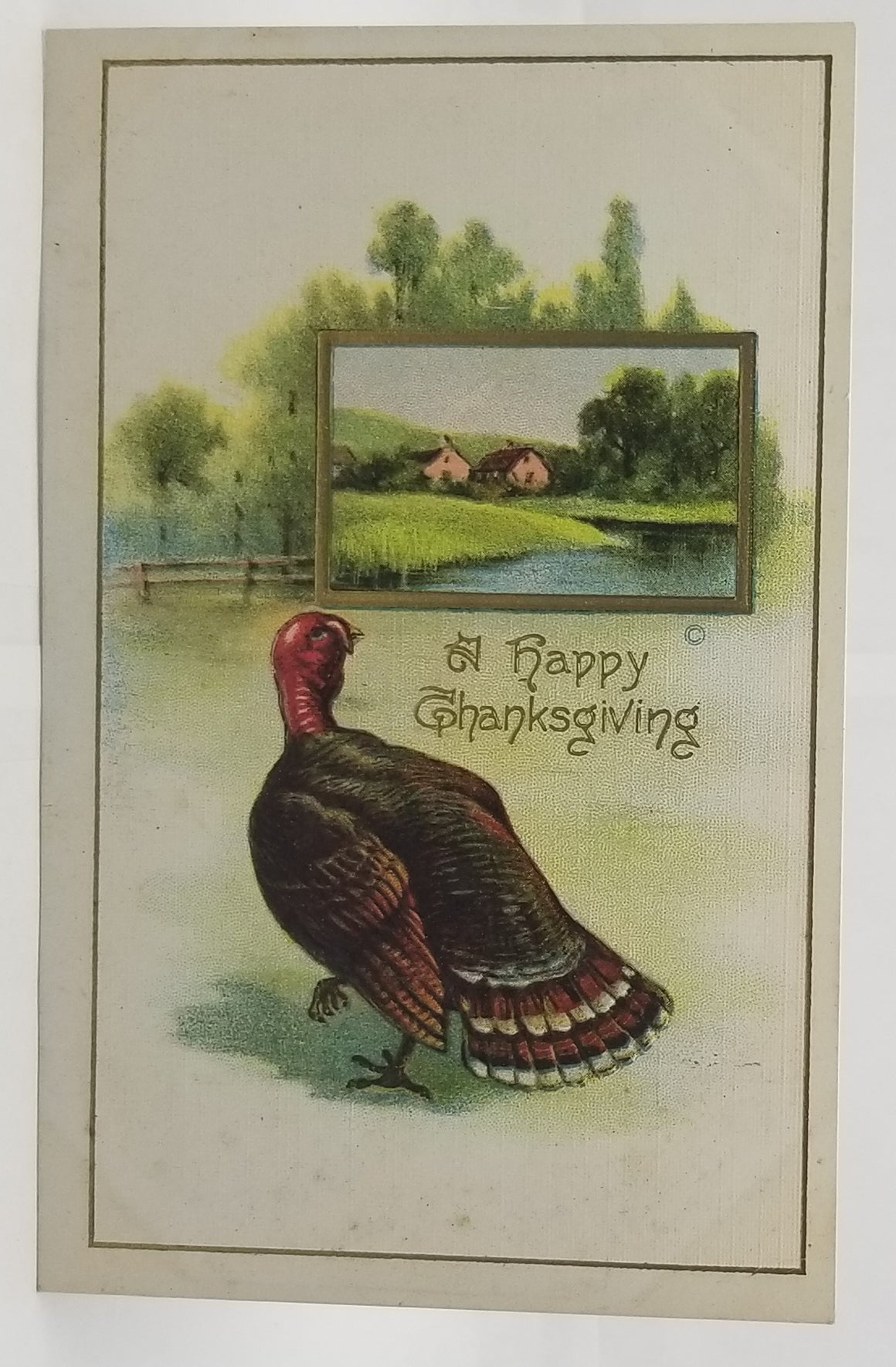 Thanksgiving Postcard Turkey with Country Farm House Near Water Gold Highlights Series 82 JJ Marks Pub