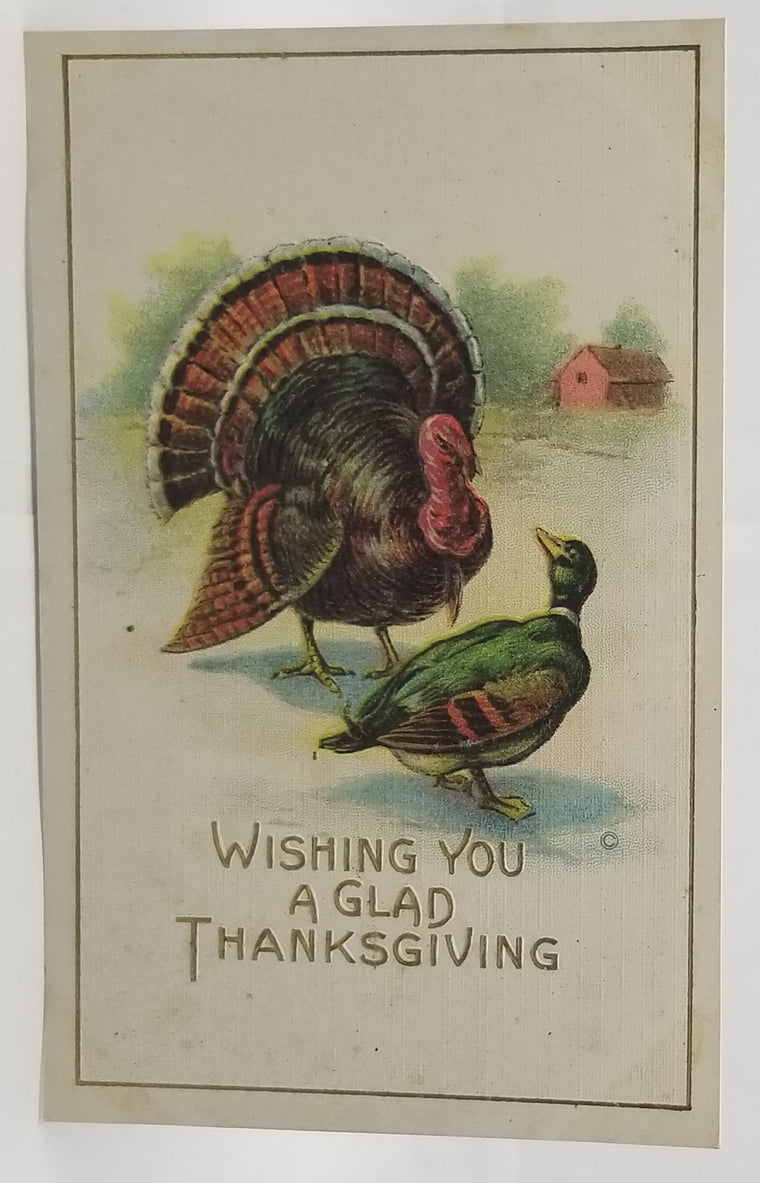 Thanksgiving Postcard Turkey with Duck Series 82 JJ Marks Pub