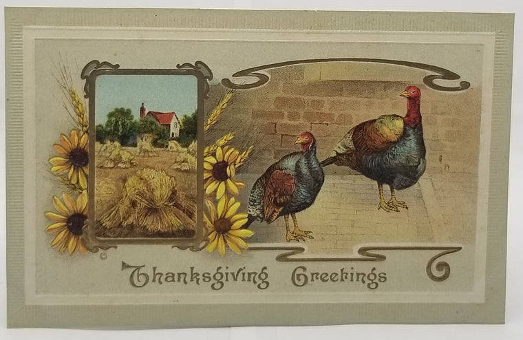 Thanksgiving Postcard Turkeys with Hay Field, Flowers  & Farmhouse Gold Highlights 929 JJ Marks Pub