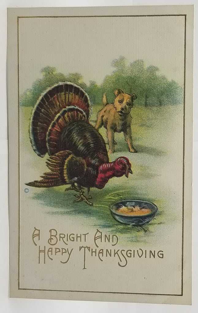 Thanksgiving Postcard Little Brown Puppy Dog Watching Turkey Eat Series 81 JJ Marks Pub