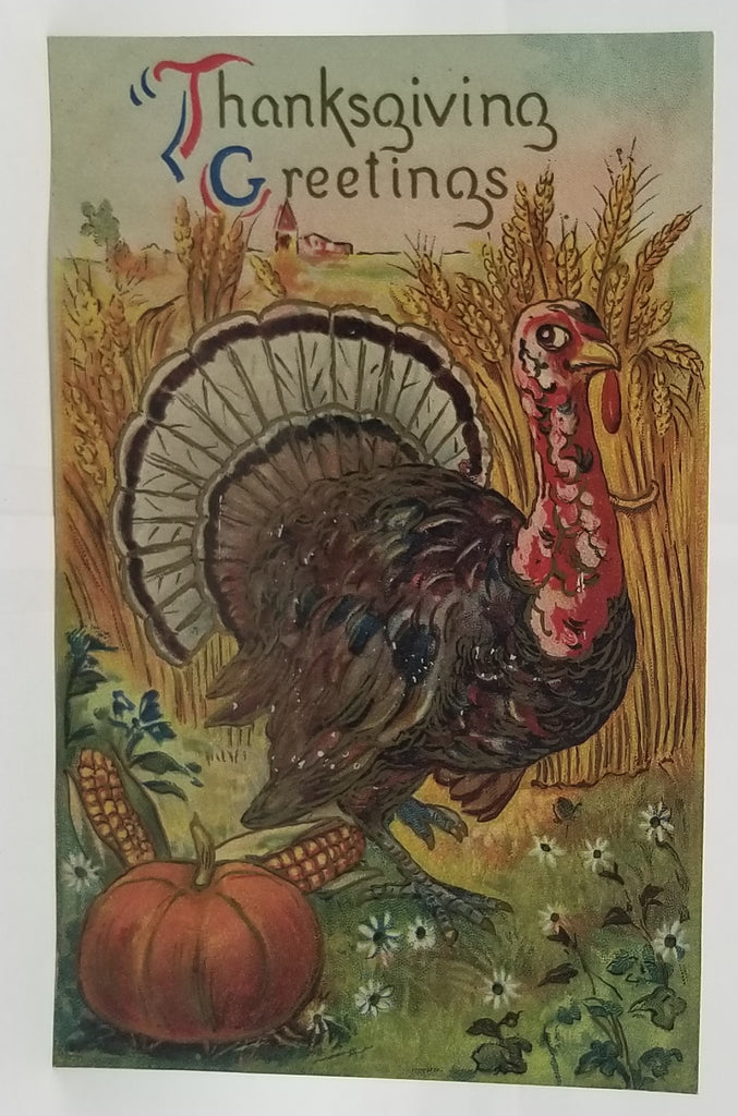 Thanksgiving Postcard Turkey in Wheat Field with Corn & Pumpkins Saxony No 47