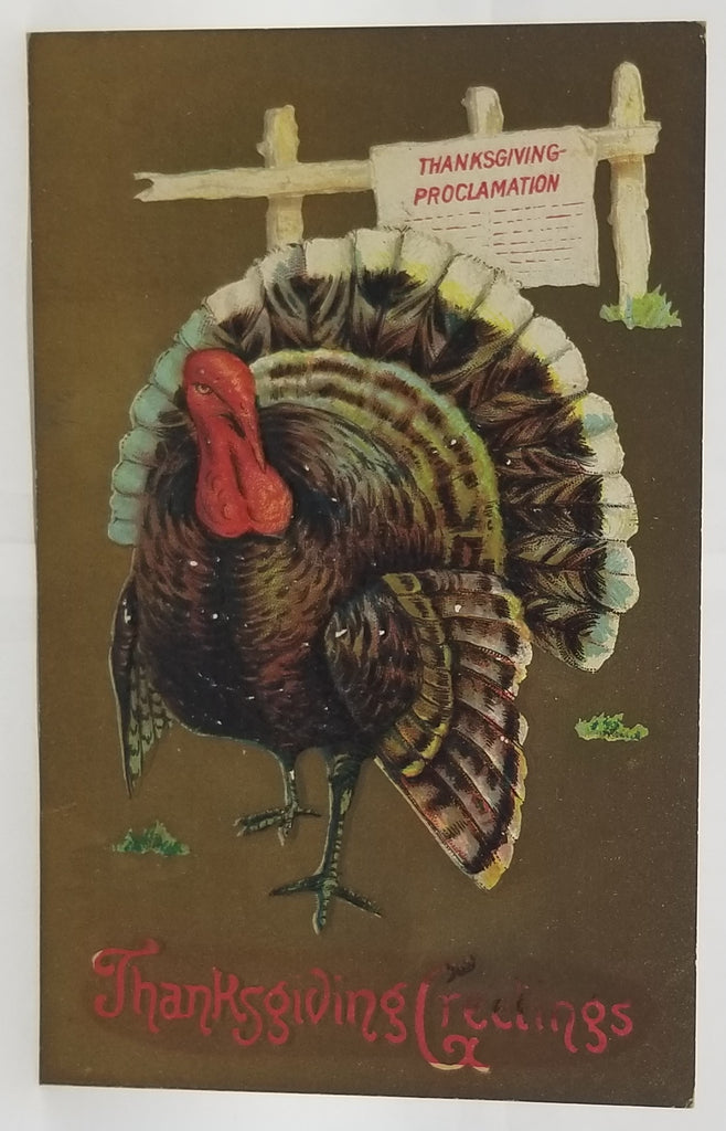 Thanksgiving Postcard Turkey with Proclamation Sign Gold Background