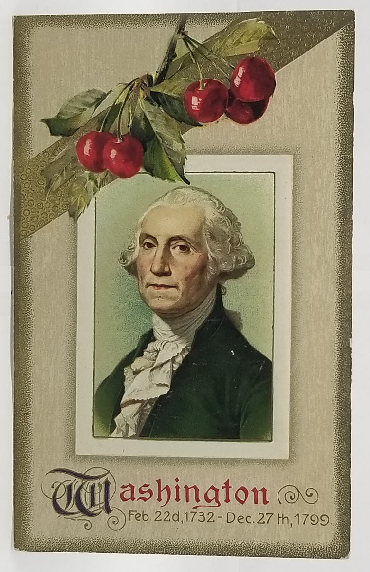 Patriotic Postcard President Washington Birthday Portrait with Cherries Winsch Publishing