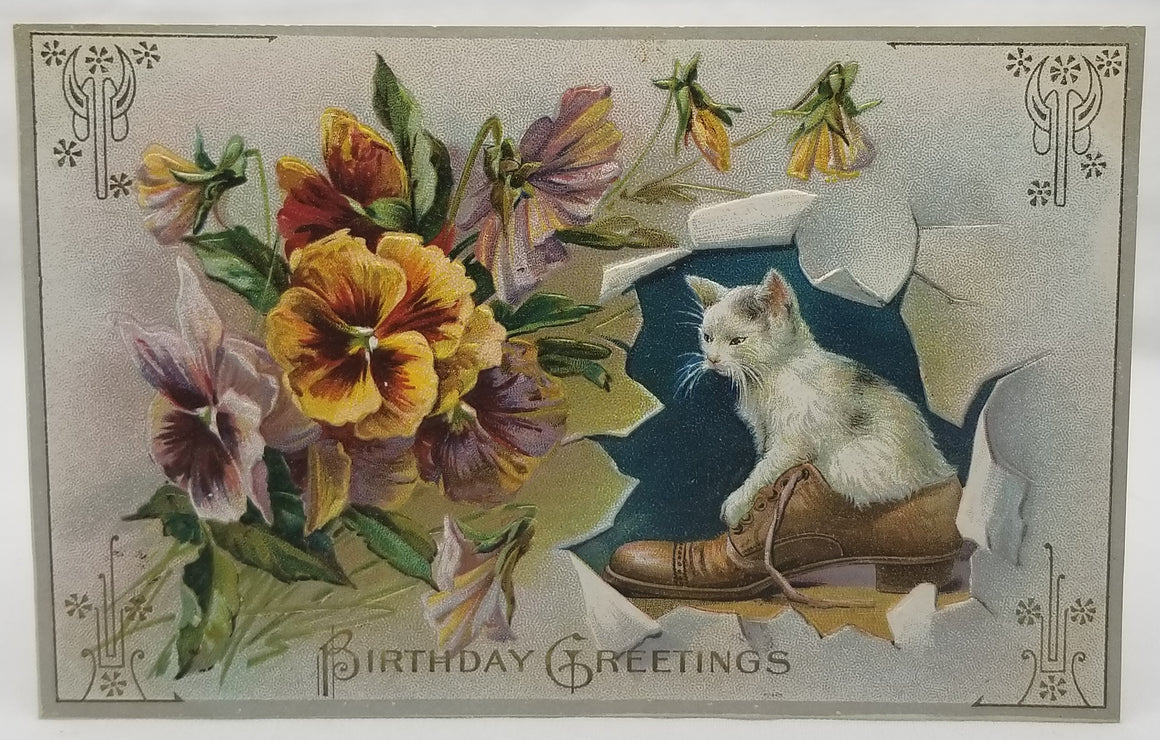 Cat Postcard Kitten with Man's Shoe Large Floral Pansies on Side Series 240 Antique Vintage Birthday Post Card