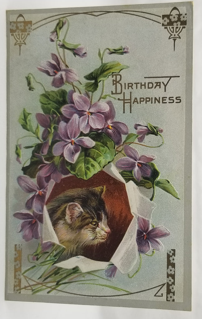 Cat Postcard Kitty with Purple Violet Flowers Series 240 Antique Vintage Birthday Post Card