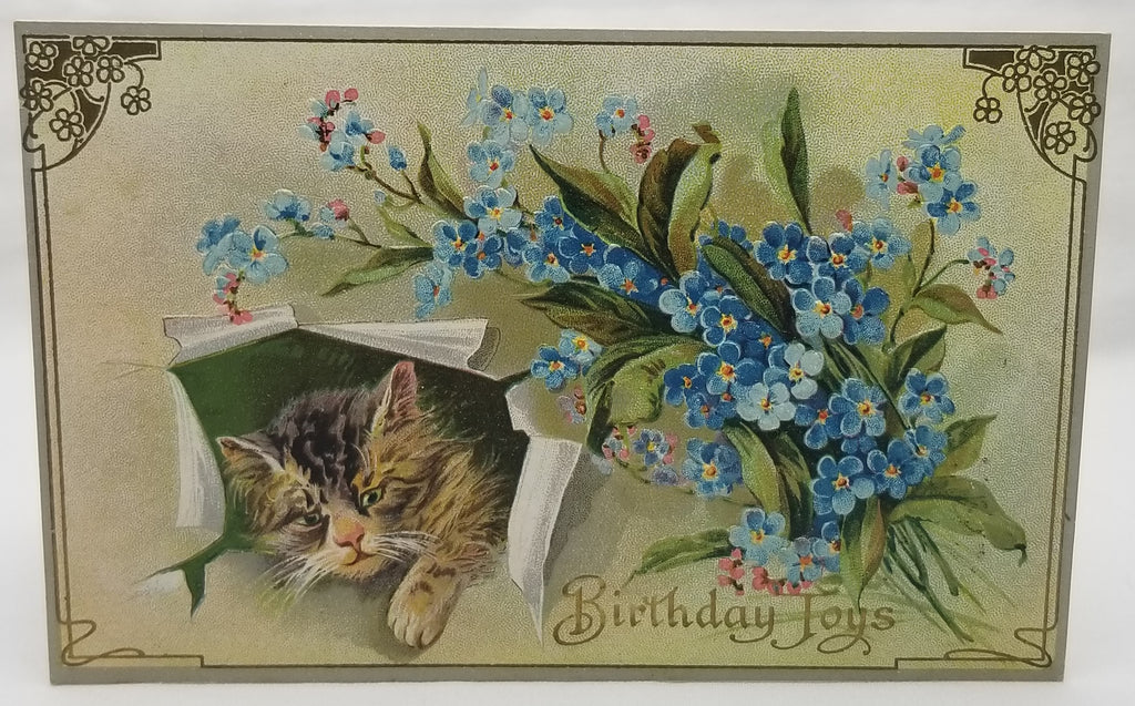 Cat Postcard Kitty Breaking Through Paper with Blue Phlox Flowers Nearby Series 240 Antique Vintage Birthday Post Card