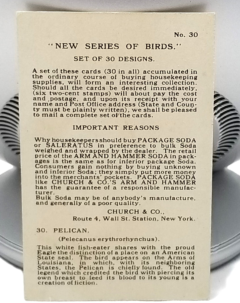 Advertising Trade Card Arm & Hammer Church Dwight Co Bird Series Pelican No. 30 Artist Signed 1908