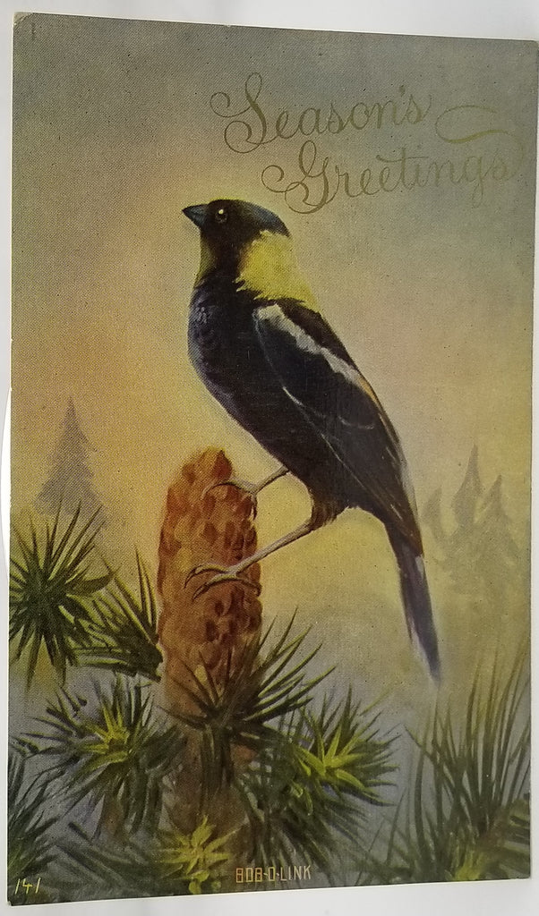 Greetings Postcard Season Greetings Bob O Link Bird