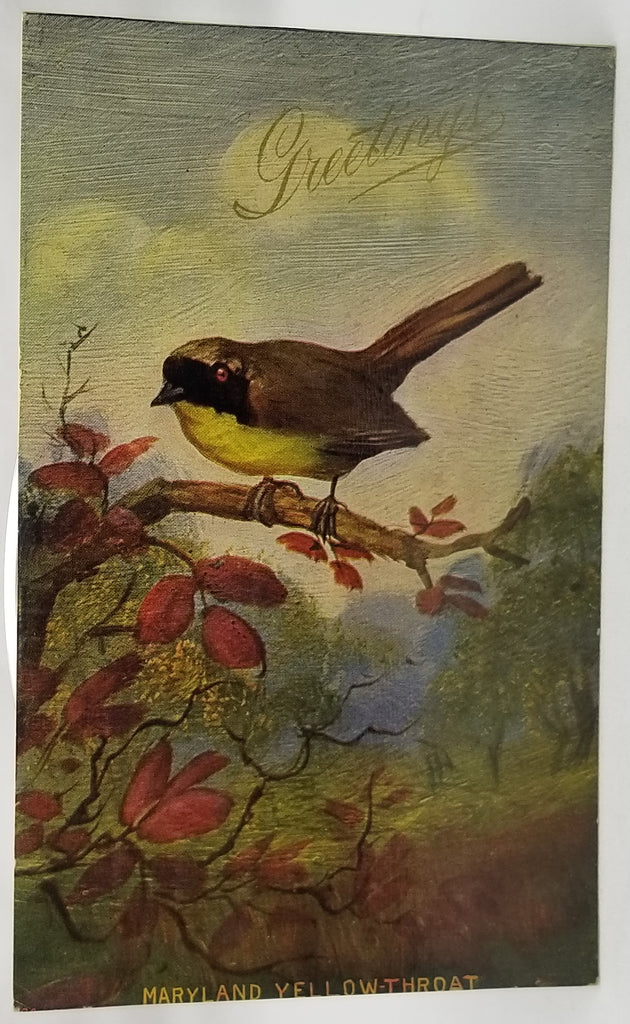 Greetings Postcard Best Wishes Maryland Yellow Throat Bird