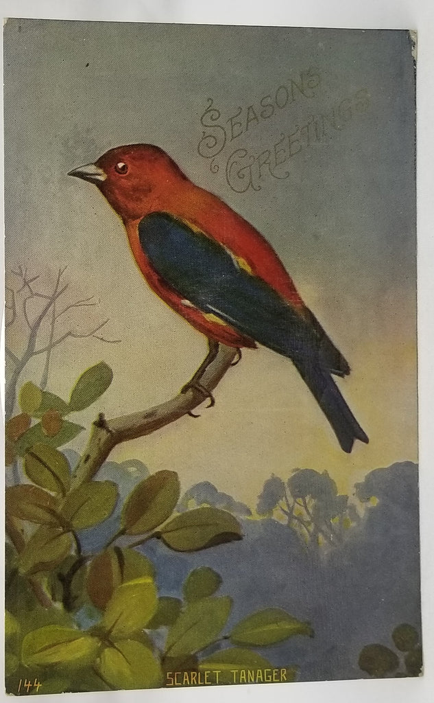 Greetings Postcard Season Greeting Scarlet Tanager Bird