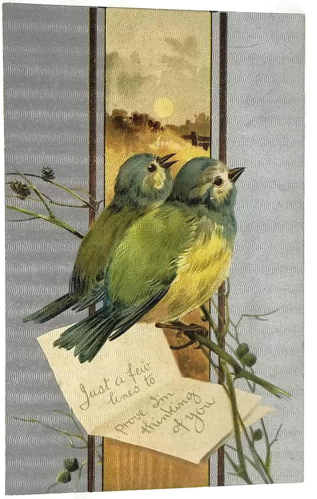 Greetings Postcard Best Wishes Singing Snow Capped Manakins Silver Background Series 2111 Embossed Unused Card