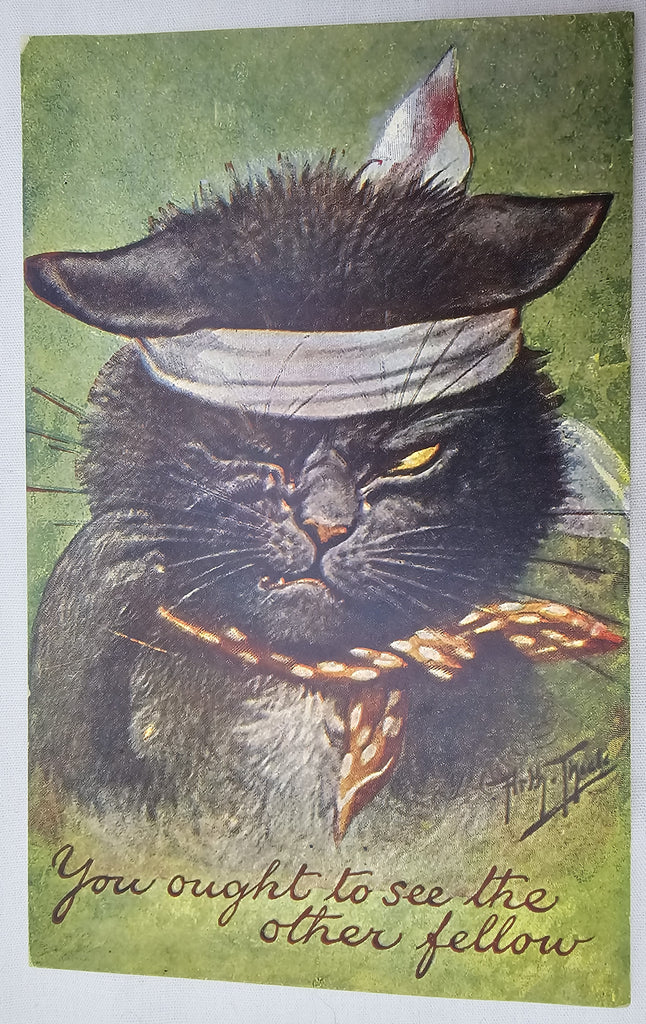 Arthur Thiele Cat Postcard Black Cat with Bandage from Fight You Ought to See the Other Guy Anthropomorphic Kitty