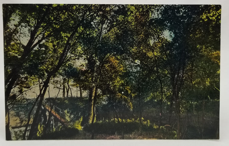 Wild Cat Canyon Starved Rock LaSalle County RPPC Style Postcard