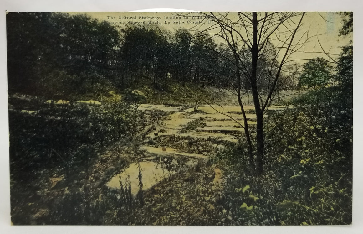 The Natural Stairway Leading to Wild Canyon Starved Rock, La Salle County, Ill. RPPC Style Postcard