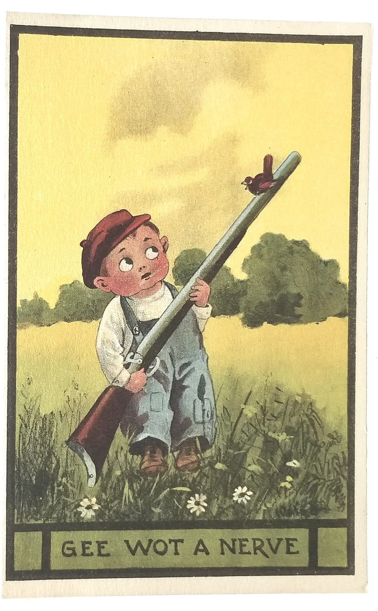 Comic Postcard Boy Hunting Bird Landing on His Rifle "Gee Wot a Nerve"