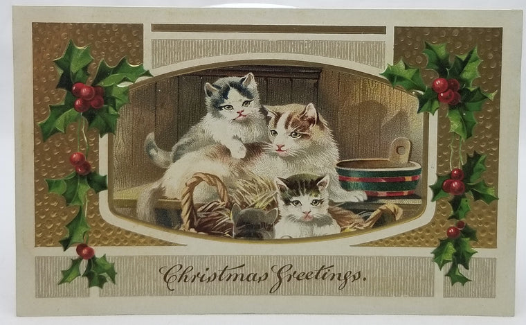 Vintage Christmas Postcard, Embossed  Antique Holiday German Post Card, Mother Cat with Kittens Gold Foil Holly Border