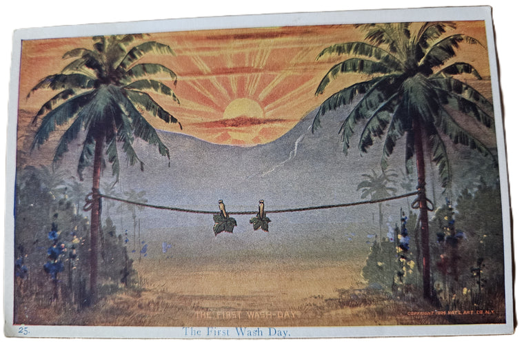 Comic Postcard The First Wash Day Adam Eve Leaves Hang to Dry