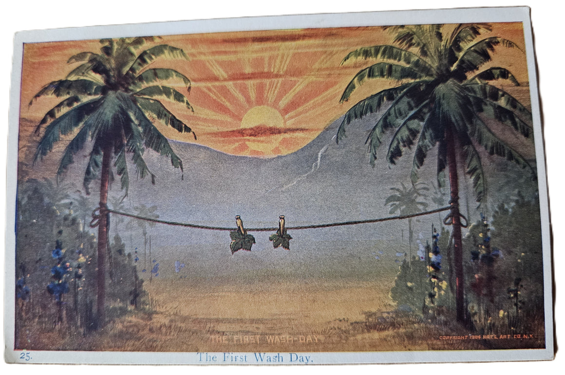 Comic Postcard The First Wash Day Adam Eve Leaves Hang to Dry