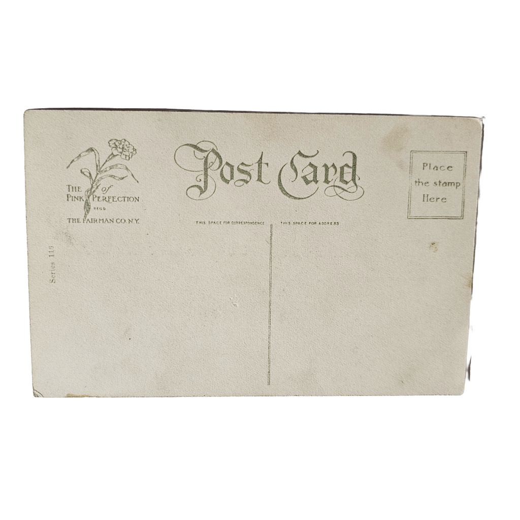 Valentine Postcard Little Girl Doing Laundry w/ Kitty Cat Black White Image