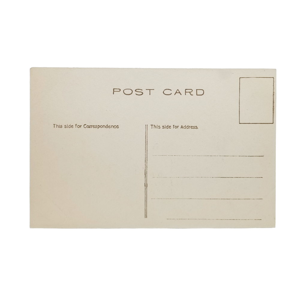 Christmas Postcard Mrs. Claus Sepia Card with Roses Artist Harper