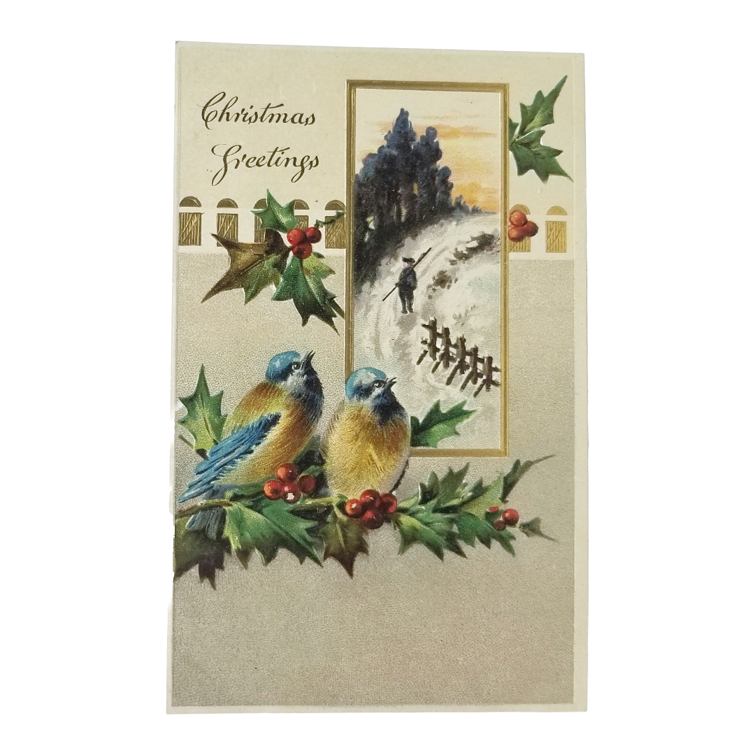 Christmas Postcard Gold Embossed Blue Birds in Winter