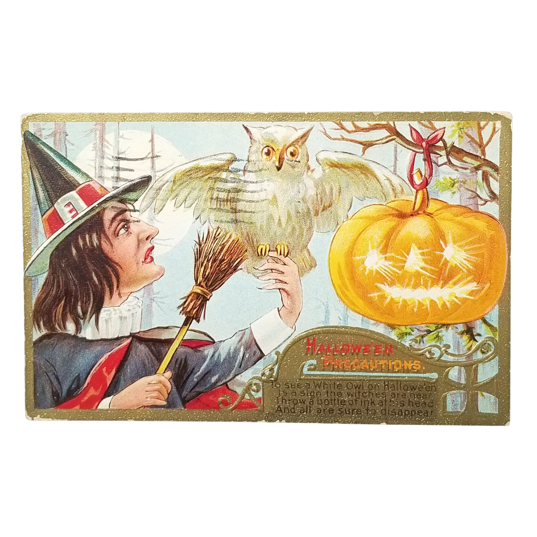 Antique 1909 Nash "Halloween Precautions" Postcard - Witch & White Owl