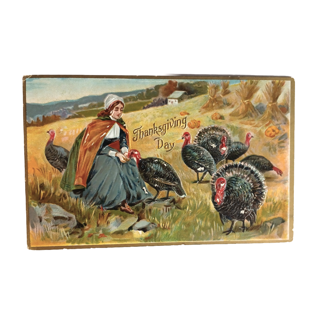 Thanksgiving Postcard Pilgrim Maiden w/ Flock of Turkeys Tuck Series 161
