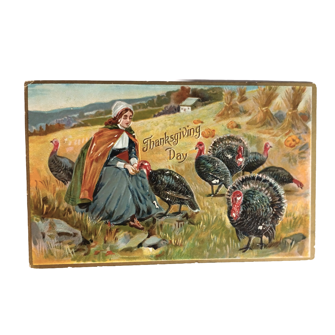 Thanksgiving Postcard Pilgrim Maiden w/ Flock of Turkeys Tuck Series 161