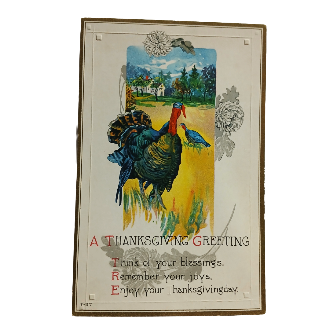 Thanksgiving Postcard Turkeys in Field with Home Behind T-97