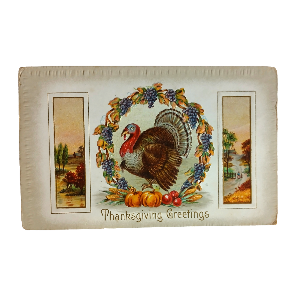 Thanksgiving Postcard Turkey in Grape Wreath with Landscape