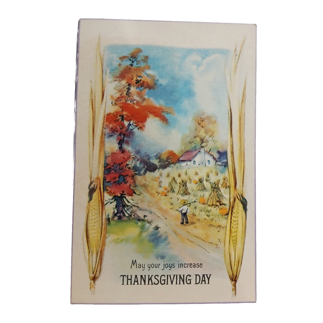 Thanksgiving Postcard Farmer Boy in Lane Corn Fields Series 114