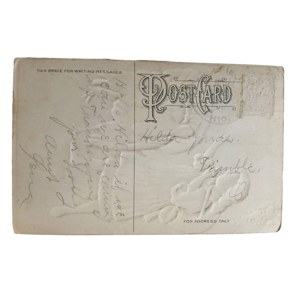 Thanksgiving Postcard Girl in Blue Dress with Turkey