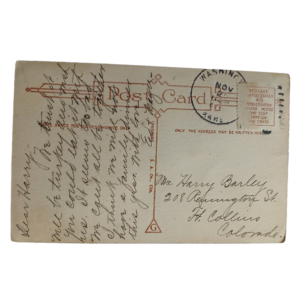 Thanksgiving Gibson Girl Maiden with Turkey Artist Elliott Sepia Tone