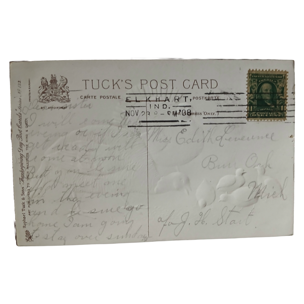 Thanksgiving Postcard Turkeys with Baby Chicks Tuck Pub Series 123