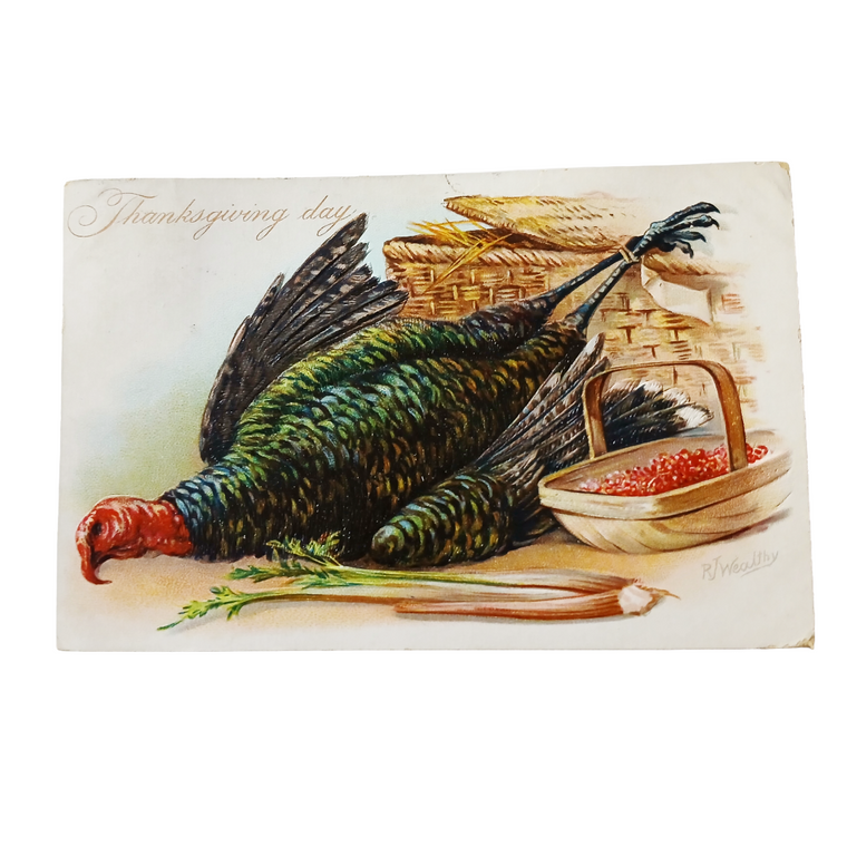 Thanksgiving Postcard Turkey & Cranberries Tuck Pub. Series 123 Artist Wealthy