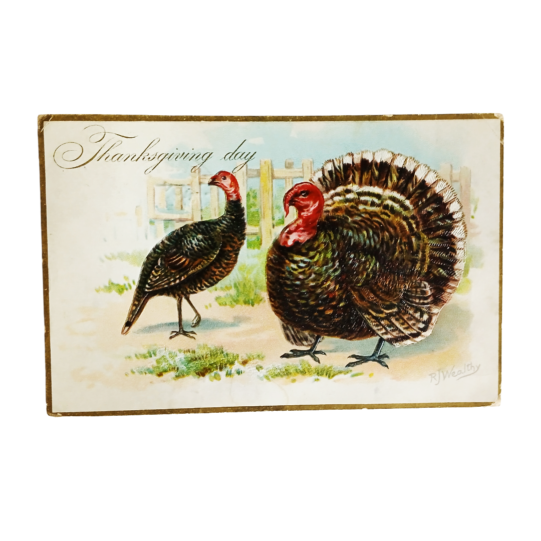 Thanksgiving Postcard Turkeys in Grass Tuck Pub. Series 123 Artist Wealthy