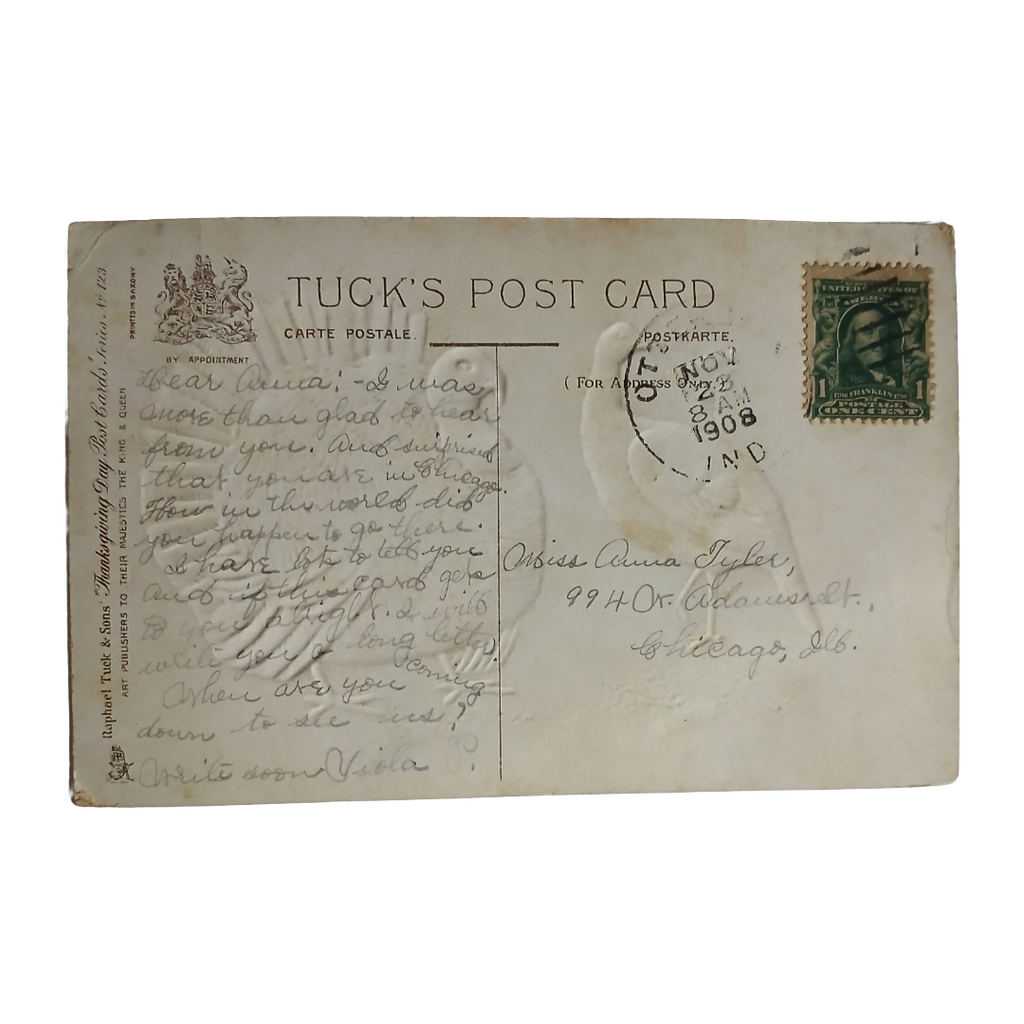 Thanksgiving Postcard Turkeys in Grass Tuck Pub. Series 123 Artist Wealthy