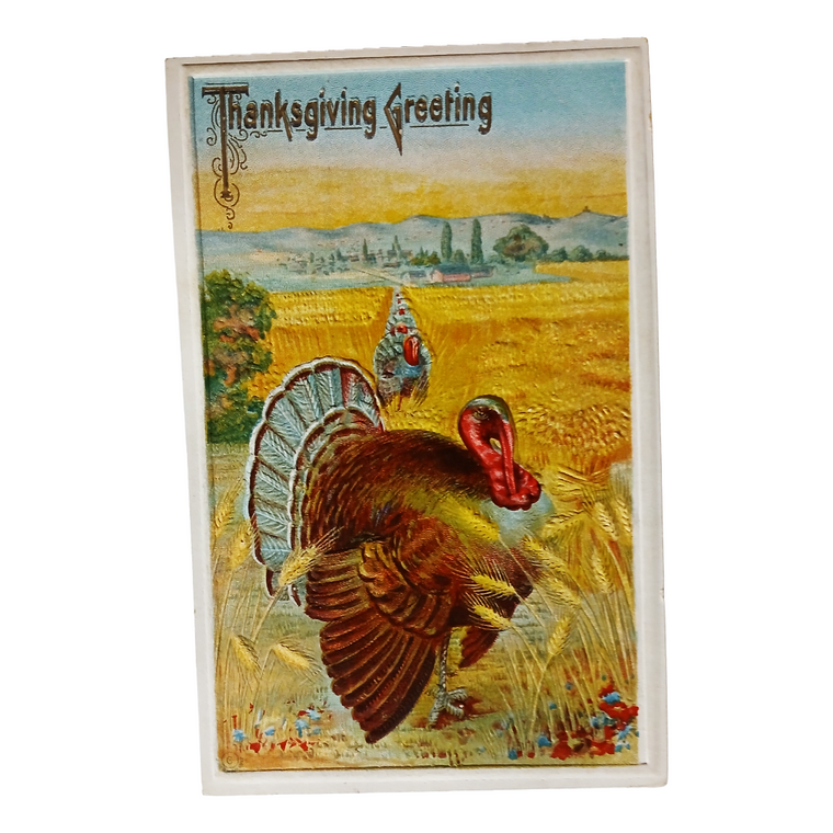 Thanksgiving Postcard Turkeys in Golden Field Bright Colors