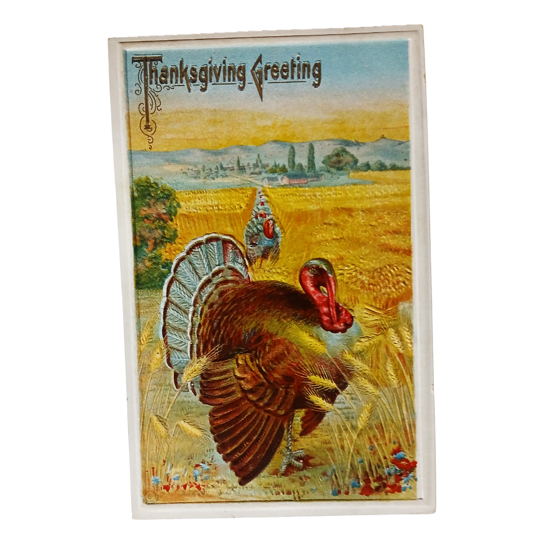 Thanksgiving Postcard Turkeys in Golden Field Bright Colors