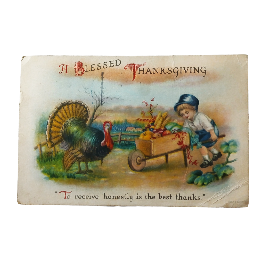 Thanksgiving Postcard Artist Clapsaddle Boy Wagon w/ Turkey Wolf Pub.