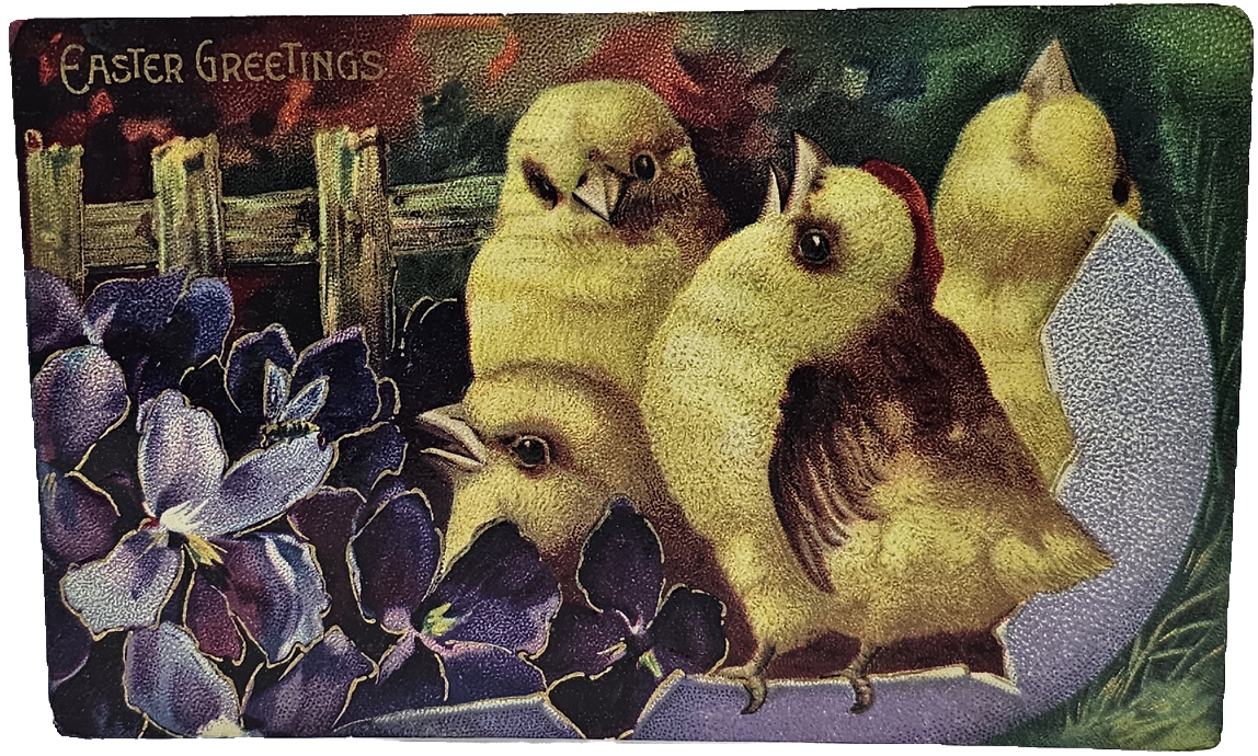 Easter Postcard Embossed Baby Chicks in Egg with Purple Flowers Gel Finish Series 1520