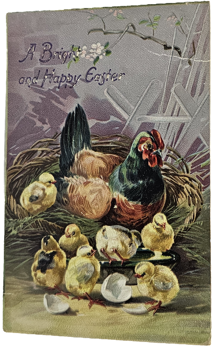 Easter Postcard Mother Hen with Baby Chicks Raphael Tuck Series 1045