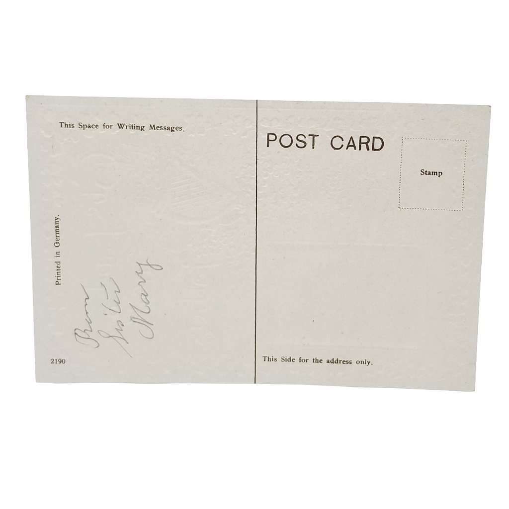 Vintage Saint Patrick's Day Postcard Dublin Castle In Shamrock Border