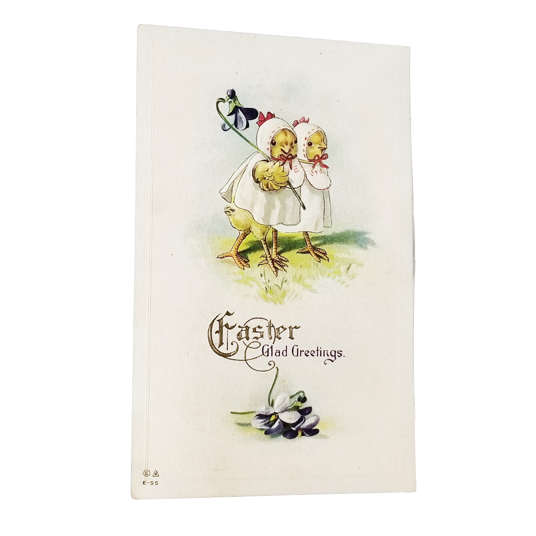 Easter Postcard Anthropomorphic Baby Chicks in White Gowns Holding Violets