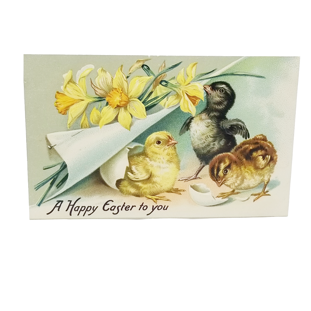 Easter Postcard Baby Chicks & Duck w/ Daffodils Tuck Series 112