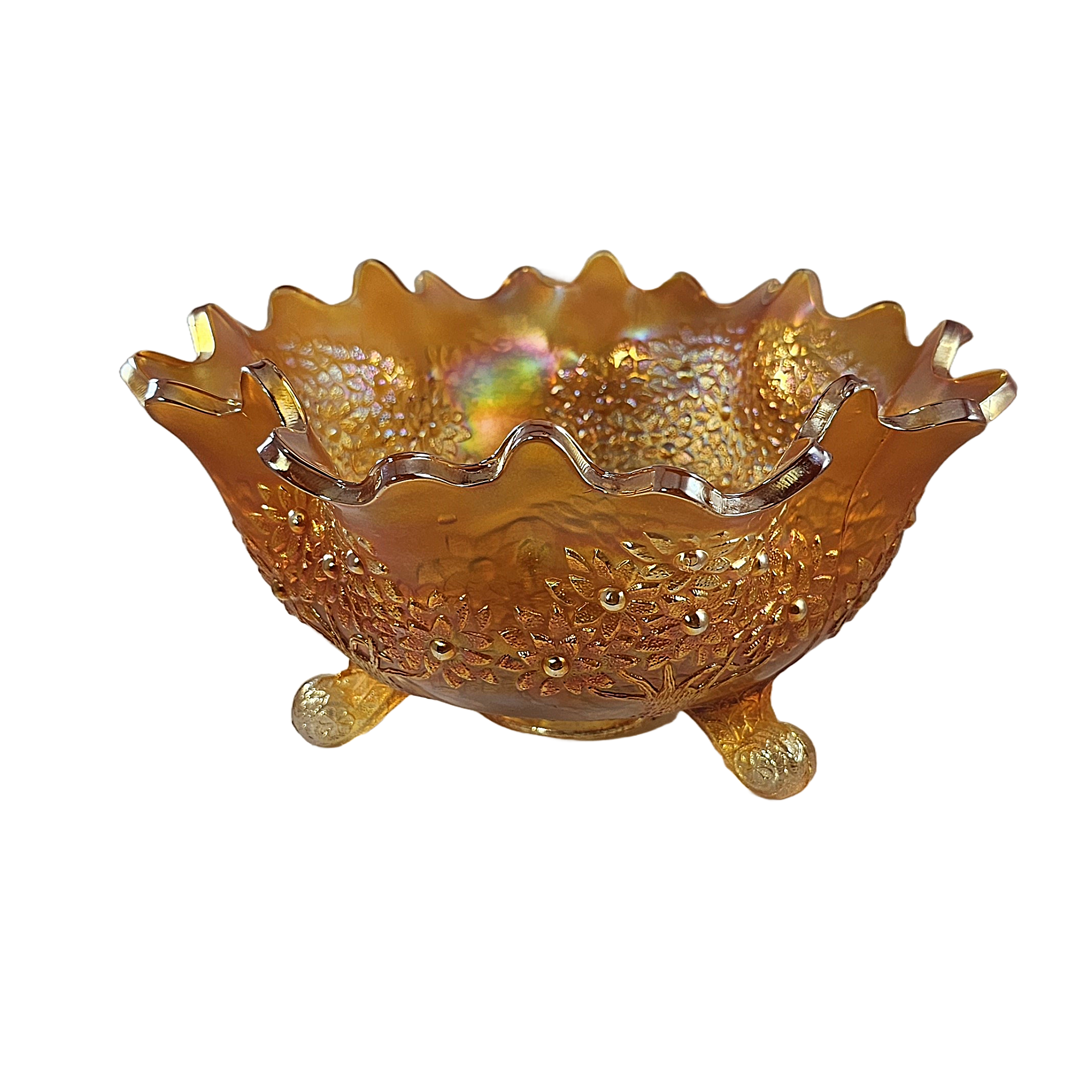 753〓[特価]希少Pouteria sp.calice de flor熱帯果樹 Fenton Marigold Carnival Glass Large Footed Orange Tree Fruit Bowl