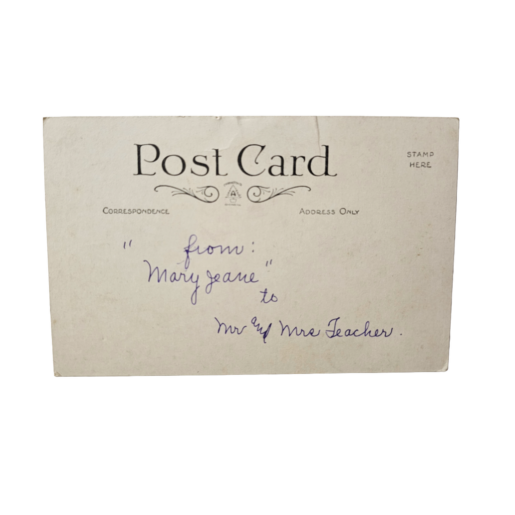 Valentine Postcard Child Dressed as Flapper Boy Giving Her Heart